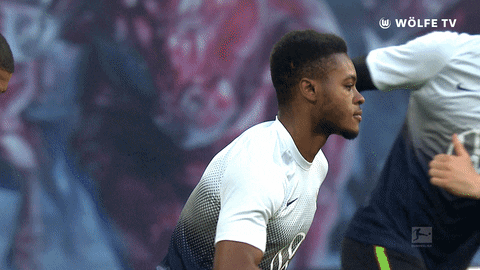 Football Sport GIF by VfL Wolfsburg