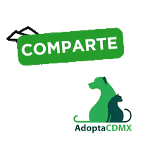 AdoptaCDMX love cat dog share Sticker
