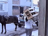 Vintage Vhs GIF by jorgemariozuleta