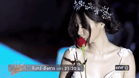 vienewsvn giphyupload GIF