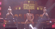 Body Megan Thee Stallion GIF by New Year's Rockin' Eve