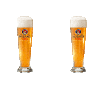 Beer Cheers Sticker by Paulaner