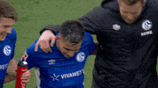 Football Win GIF by FC Schalke 04