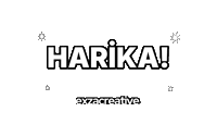 Creative Agency Sticker by exzacreative