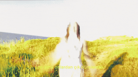Nil GIF by hubcollage