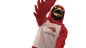 calverthallcollege cardinals hall cardinal calvert Sticker