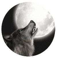 Wolf Sticker by WLTH
