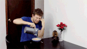 coreyvidal sad crying milk cereal GIF