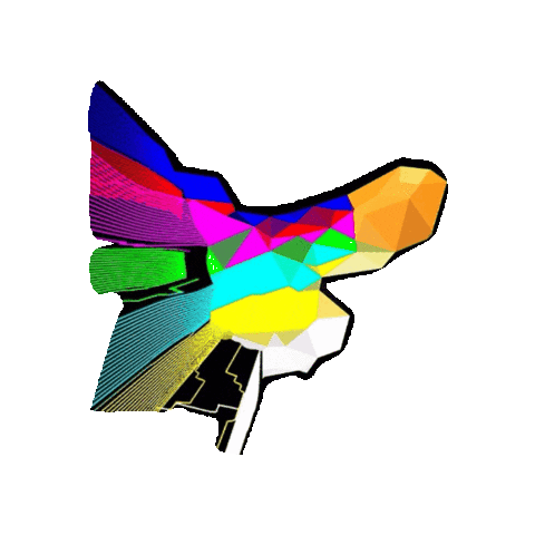 Arco Iris Art Sticker by jorgemariozuleta