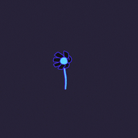 Away We Go Flower GIF by Shane Beam