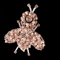aidanandice accessories brooch aidanandice GIF