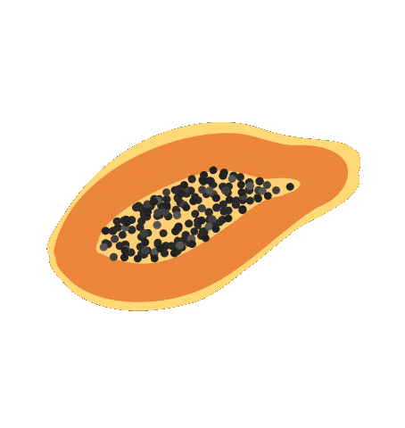 Fruit Papaya Sticker