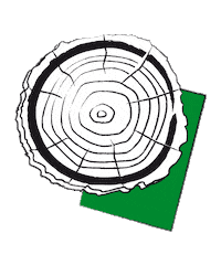 Paper Wood Sticker by Tchibo