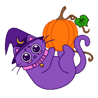 Pumpkin Spice Halloween Sticker by Spooks The Cat