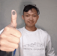 Pytorve GIF