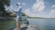 GIF by Karl's Bait & Tackle