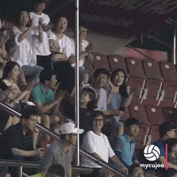 Happy Fc Seoul GIF by ELEVEN SPORTS