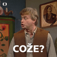 Co What GIF