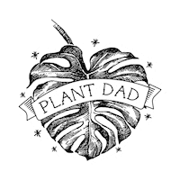 onlyfrond plant plants houseplant houseplants Sticker