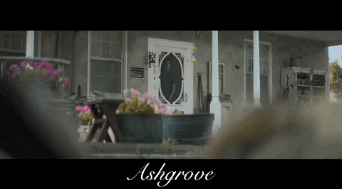Looking Canadian GIF by Raven Banner Entertainment