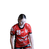 Sport Handball Sticker by Hollenstedt-Handball