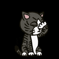 irene_hsyu cat no stop ohno GIF