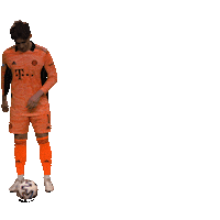 fcbayerncampus football soccer fussball fcb Sticker