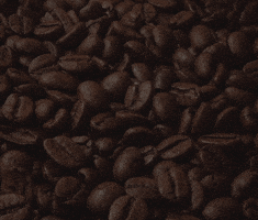coffee time snacktime GIF by Eat Your Coffee