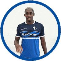 Hallo 2 Bundesliga Sticker by SV Darmstadt 1898 e.V.