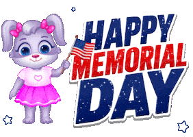 Happy American Flag Sticker by Lucas and Friends by RV AppStudios