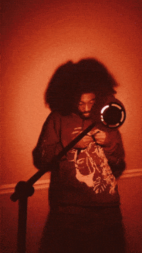 Hair Afro GIF by L'Sonne