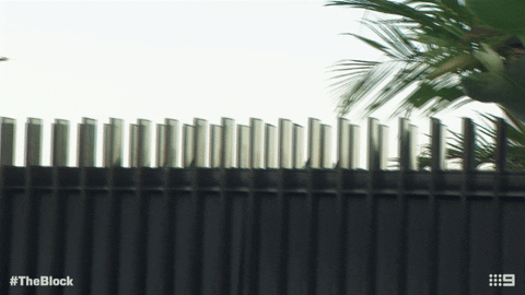 Channel9 GIF by The Block