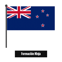 New Zealand Flag Sticker by Formación Ninja