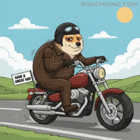 Good Morning GIF by Doge Pound