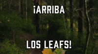 ¡Arriba los Leafs!