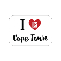 South Africa Travel Sticker by IES Abroad