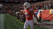 Hunter Henry Football GIF by New England Patriots