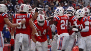 Football Nfl GIF by New England Patriots