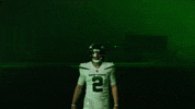 Ny Jets Football GIF by New York Jets