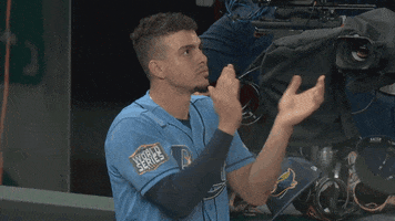 Major League Baseball Applause GIF by MLB