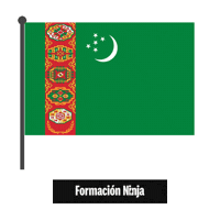 Turkmenistan Flag Sticker by Formación Ninja