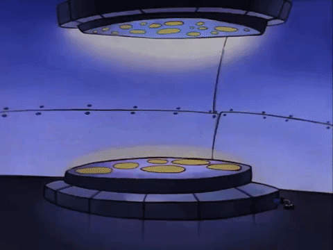 rockos modern life nicksplat GIF