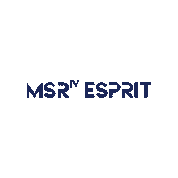 Msriv Esprit Sticker by Reutech Mining
