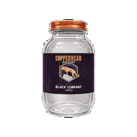 North Bay Summer Sticker by CopperheadDistillery