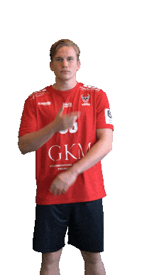 Game Goal Sticker by HC Rhein Vikings