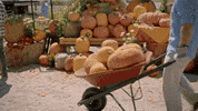 HallmarkChannel love friendship hallmark hallmark channel GIF