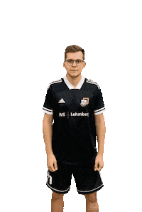 svlembeck tor bomber svl kalle Sticker