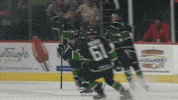 Black Bears GIF by Binghamton Black Bears