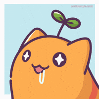 Excited Cat GIF by Castaways