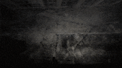 GIF by MUTEK.MX